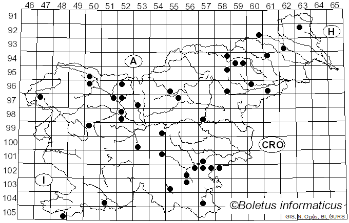 <i>Picipes</i> Zmitr. & Kovalenko (2016)