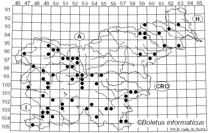<i>Vuilleminia</i> Maire (1902)