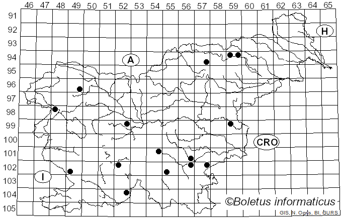 <i>Cortinarius obtusus</i> (Fr.) Fr. (1838)