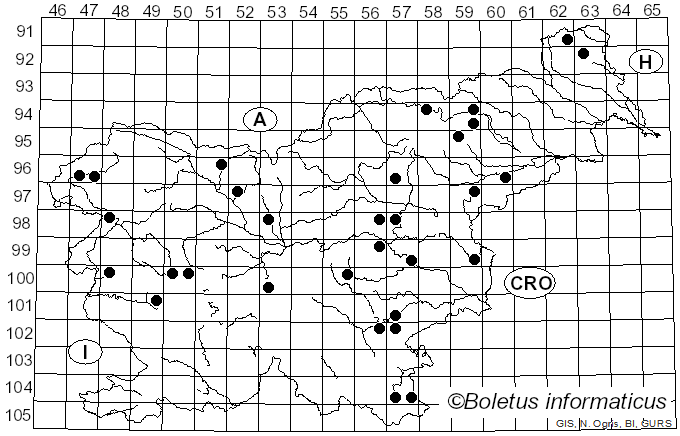 <i>Pluteus pellitus</i> (Pers.) P. Kumm. (1871)