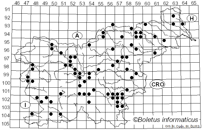 <i>Grifola frondosa</i> (Dicks.) Gray (1821)
