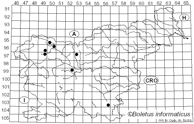 <i>Cercospora depazeoides</i> (Desm.) Sacc. (1876)