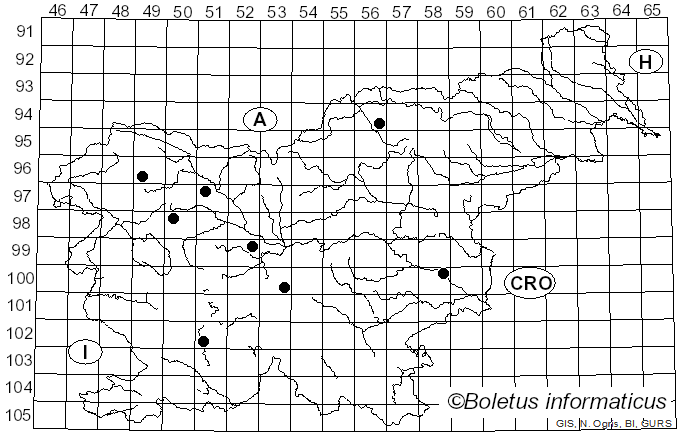 <i>Cristulariella depraedans</i> (Cooke) Höhn. (1916)