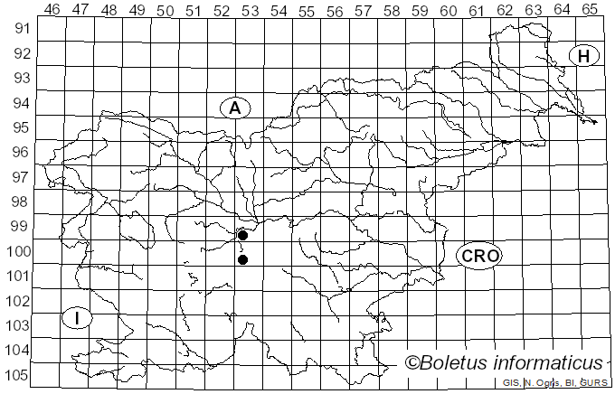 <i>Hygrophorus camarophyllus</i> var. <i>calophyllus</i> Konrad & Maublanc (1937)