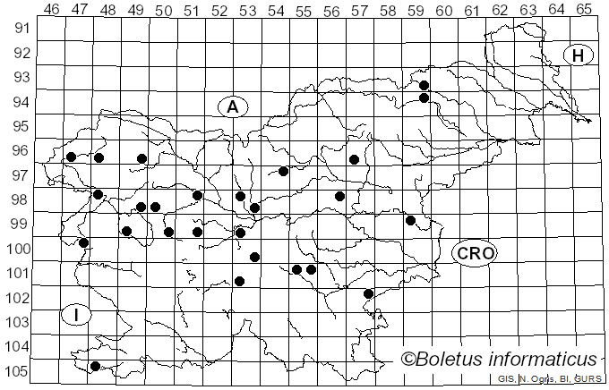 <i>Cuphophyllus russocoriaceus</i> (Berk. & T.K. Mill.) Bon (1985)