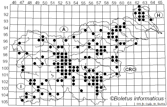 <i>Hygrophorus russula</i> (Fr.) Kauffman (1918)