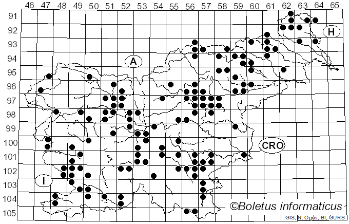 <i>Russula caerulea</i> Fr. (1838)
