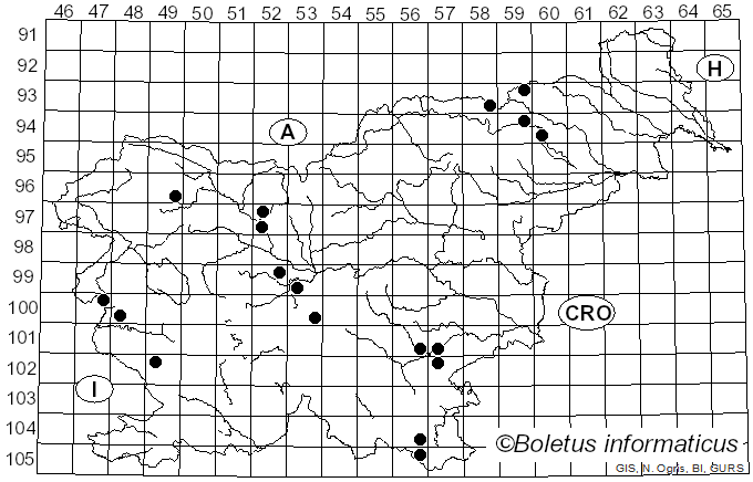 <i>Agaricus dulcidulus</i> Schulzer (1874)