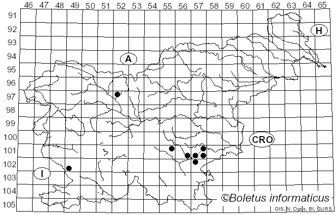 <i>Ramaria cacao</i> (Coker) Corner (1950)