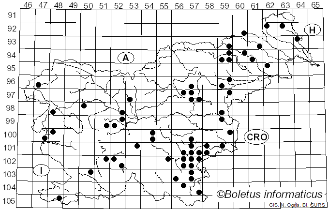 <i>Psathyrella spadiceogrisea</i> (Schaeff.) Maire (1937)
