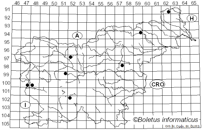 <i>Entoloma niphoides</i> Romagn. ex Noordel. (1985)