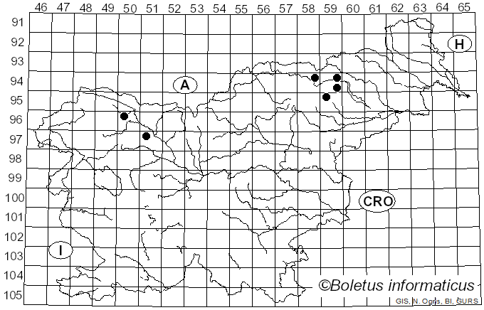 <i>Mycena plumbea</i> (Fr.) Sacc. (1947)