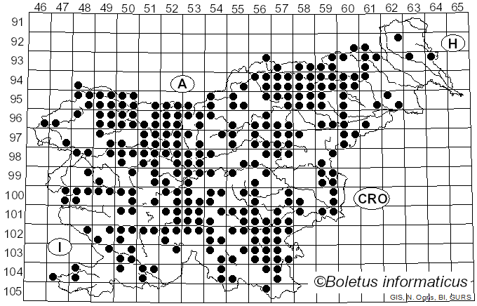 <i>Fomitopsis pinicola</i> (Sw.) P. Karst. (1881)