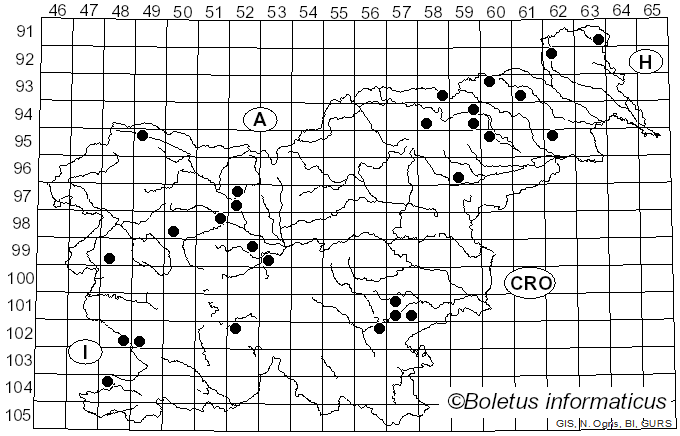 <i>Clitocybe vibecina</i> (Fr.) Quél. (1872)