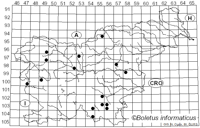 <i>Melampsorella</i> J. Schröt. (1874)