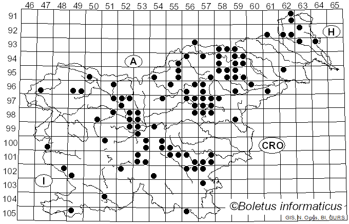 <i>Cortinarius semisanguineus</i> (Fr.) Gillet (1874)