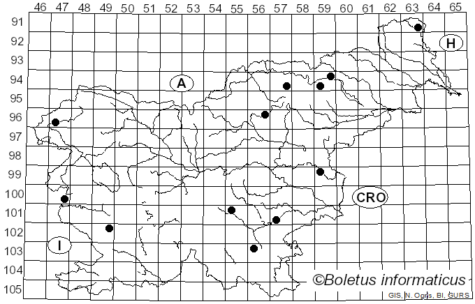 <i>Mycena filopes</i> (Bull.) P. Kumm. (1871)
