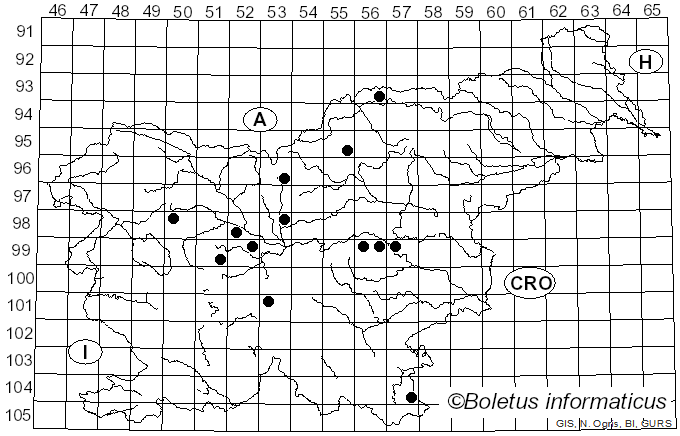 <i>Petrakia</i> Syd. & P. Syd. (1913)