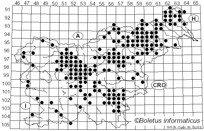 <i>Sparassis crispa</i> (Wulfen) Fr. (1821)