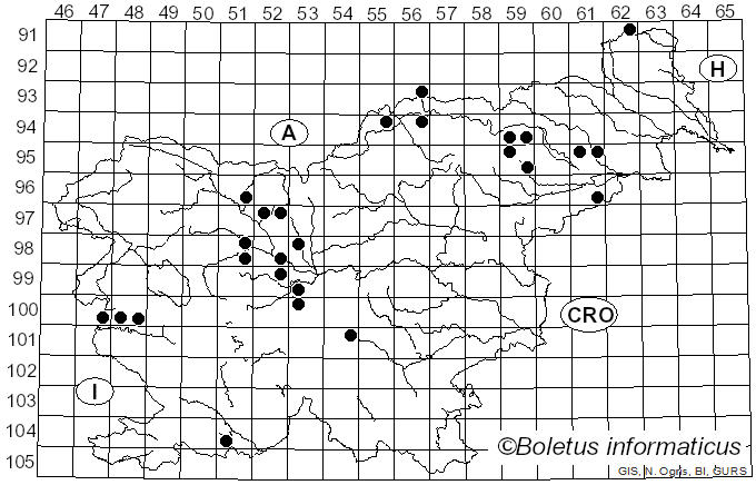 <i>Lanzia echinophila</i> (Bull.) Korf (1982)