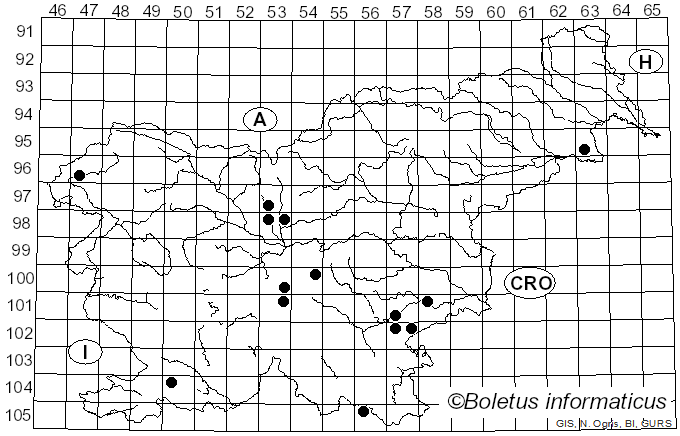 <i>Tarzetta catinus</i> (Holmsk.) Korf & J.K. Rogers (1971)