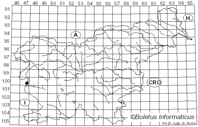 <i>Pyrenopeziza benesuada</i> (Tul.) Gremmen (1958)