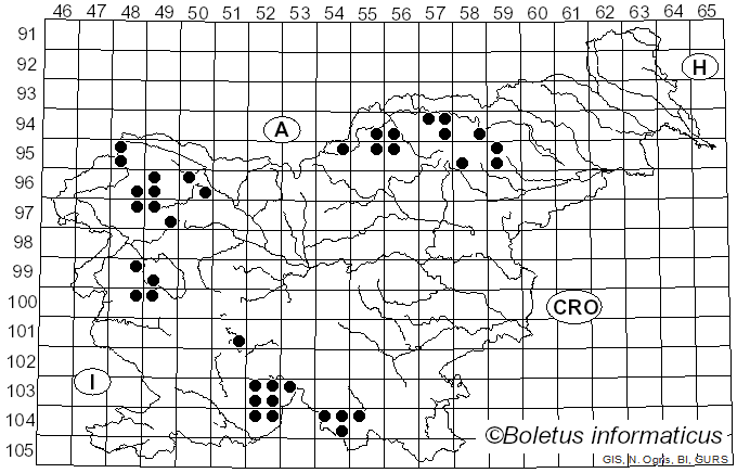 <i>Bacidia</i> De Not. (1846)