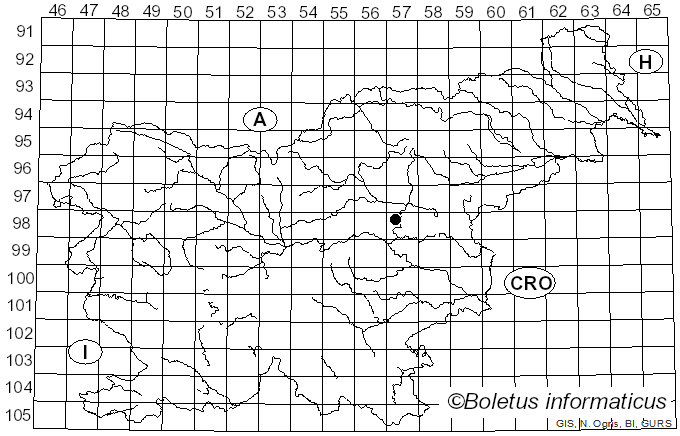 <i>Leucocoprinus flos-sulphuris</i> (Schnizl.) Cejp (1948)