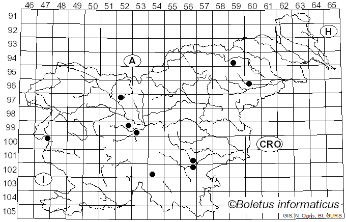 <i>Melanoleuca arcuata</i> (Bull.) Singer (1935)