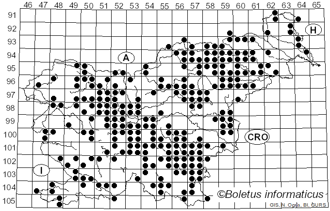 <i>Megacollybia</i> Kotl. & Pouzar (1972)