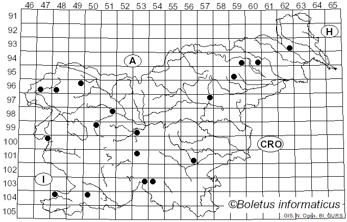 <i>Calocybe carnea</i> (Bull.) Donk (1962)