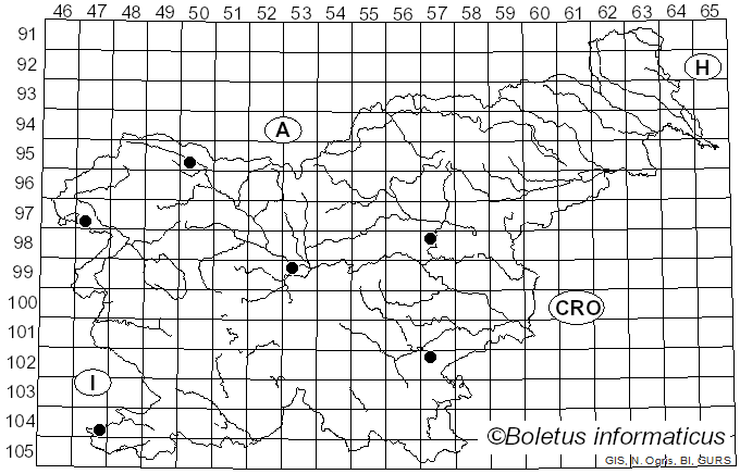 <i>Leucocoprinus birnbaumii</i> (Corda) Singer (1962)