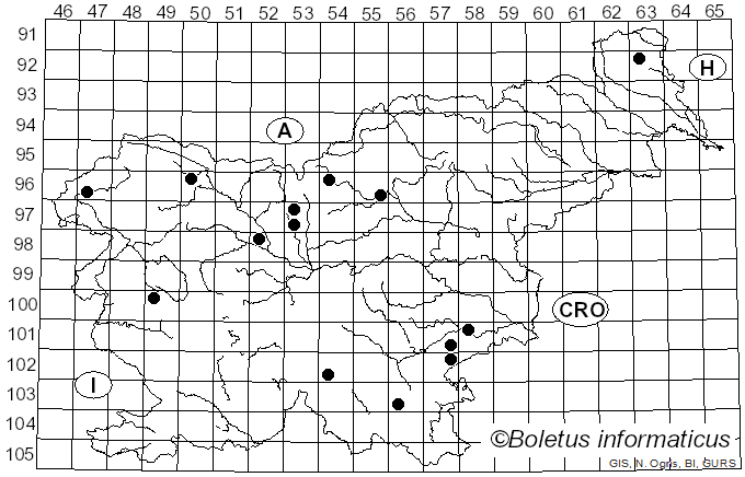 <i>Gyromitra gigas</i> (Krombh.) Cooke (1878)
