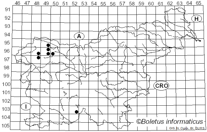 <i>Mycoblastus affinis</i> (Schaer.) T. Schauer (1964)