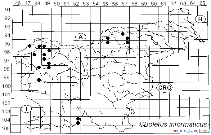 <i>Rinodina sophodes</i> (Ach.) A. Massal. (1852)