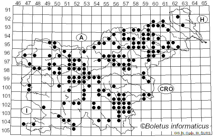 <i>Cantharellus friesii</i> Welw. & Curr. (1869)