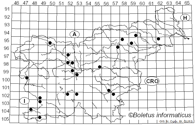 <i>Hebeloma birrus</i> (Fr.) Sacc. (1887)