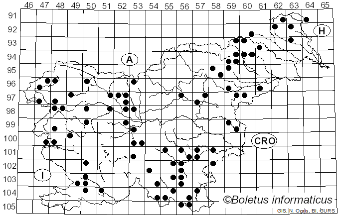 <i>Plicaturopsis crispa</i> (Pers.) D.A. Reid (1964)