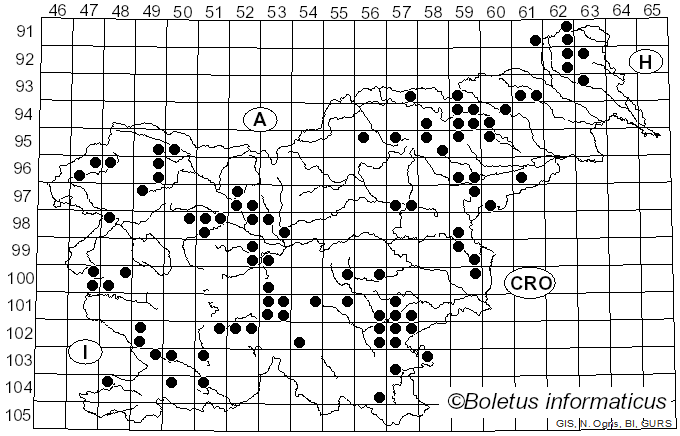 <i>Clavulina rugosa</i> (Bull.) J. Schröt. (1888)