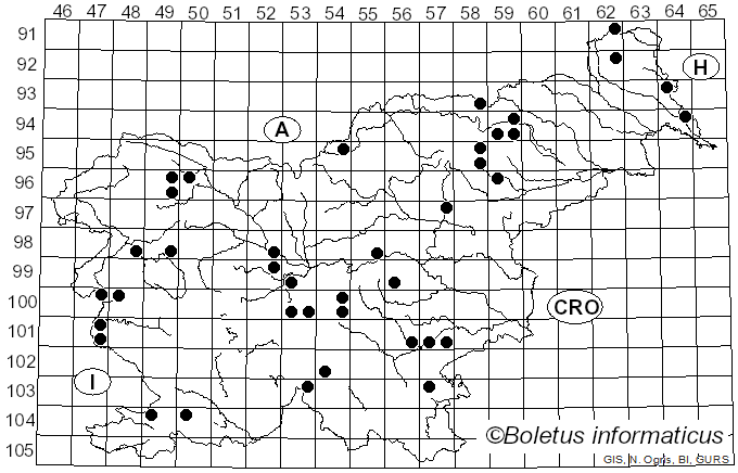 <i>Pholiota carbonaria</i> (Fr.) Singer (1951)