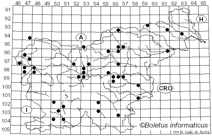 <i>Chalara</i> (Corda) Rabenh. (1844)