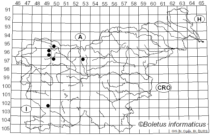 <i>Microsphaeropsis</i> Höhn. (1917)