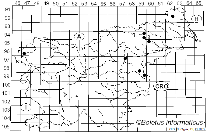 <i>Lepiota brunneoincarnata</i> Chodat & C. Martín (1889)
