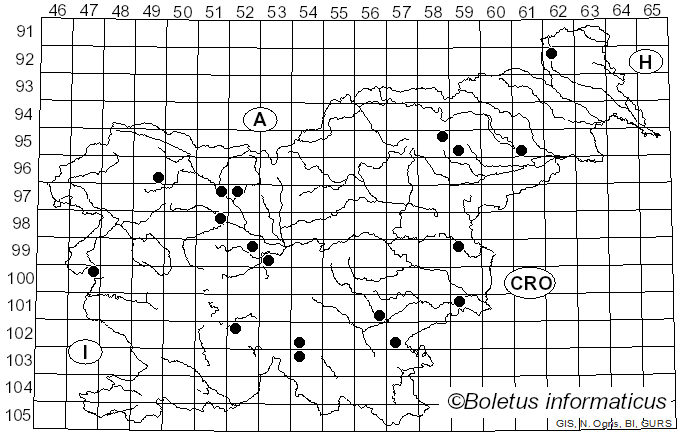 <i>Hebeloma circinans</i> (Quél.) Sacc. (1891)