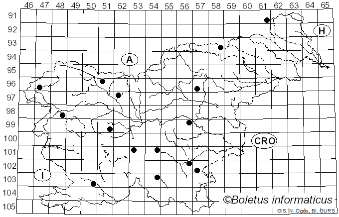 <i>Neofavolus suavissimus</i> (Fr.) Seelan, Justo & Hibbett (2016)