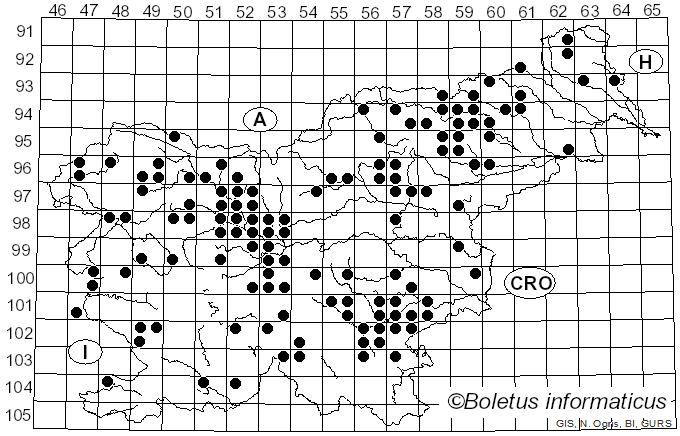 <i>Cystoderma amianthinum</i> (Scop.) Fayod (1889)