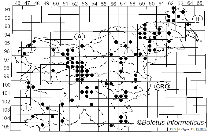 <i>Auriscalpium vulgare</i> Gray (1821)