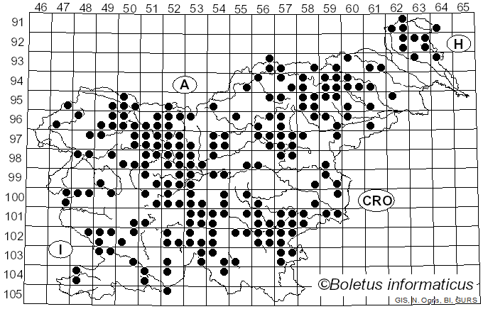 <i>Sarcodon</i> Quél. ex P. Karst. (1881)