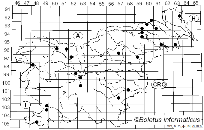 <i>Hyphodontia quercina</i> (Pers.) J. Erikss. (1958)
