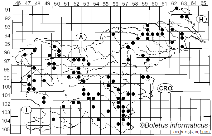 <i>Hypoxylon fuscum</i> (Pers.) Fr. (1849)
